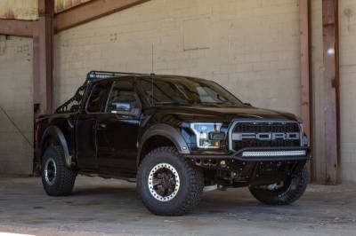 Addictive Desert Designs - ADD C115802800103 Race Series Chase Rack Ford F150 Raptor 2017-2018 - Image 4