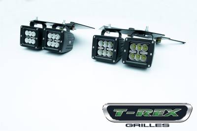 T-Rex Grilles 6395671 Torch Series: LED Light Kit
