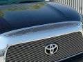 Grille - Grille - Grille Trim